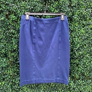 Stretchy Ann Taylor skirt. Comfy and cute.